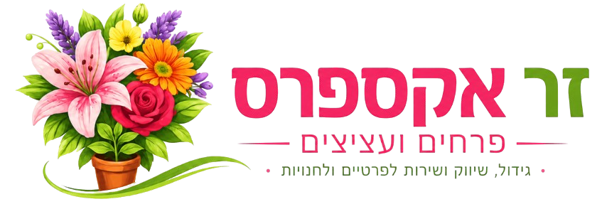 זר אקספרס - פרחים ועציצים